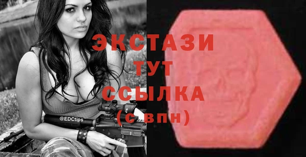 индика Верхний Тагил