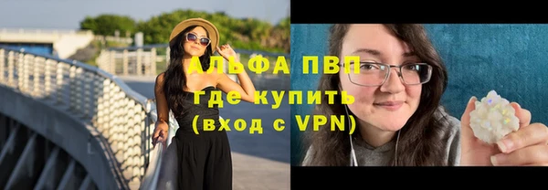 индика Верхний Тагил