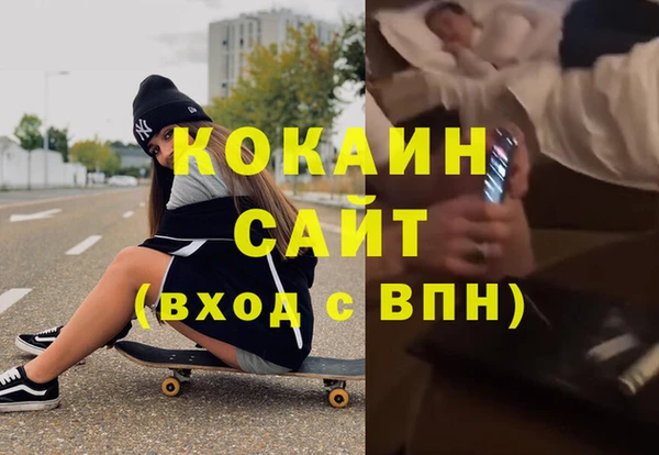 индика Верхний Тагил
