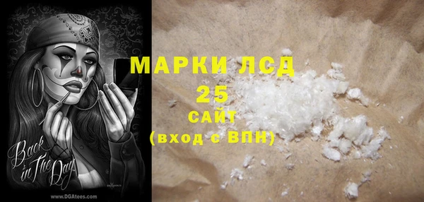 индика Верхний Тагил