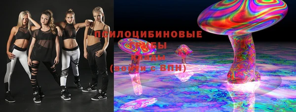 шишки Волосово