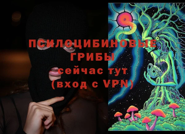 индика Верхний Тагил