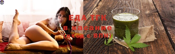 индика Верхний Тагил