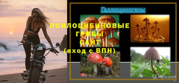 шишки Волосово